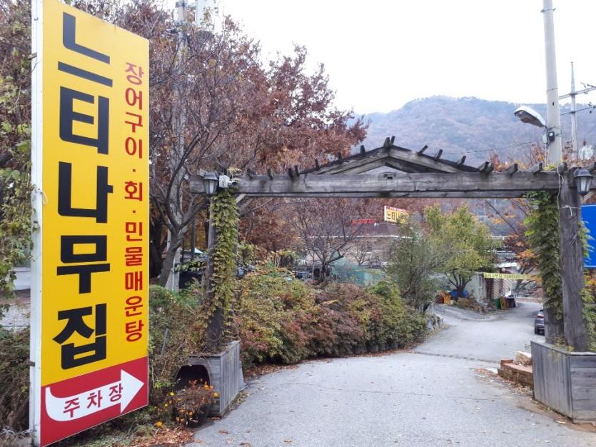 느티나무 2 납품 현장 사진 2